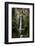 Multnomah Falls 1-John Gusky-Framed Photographic Print