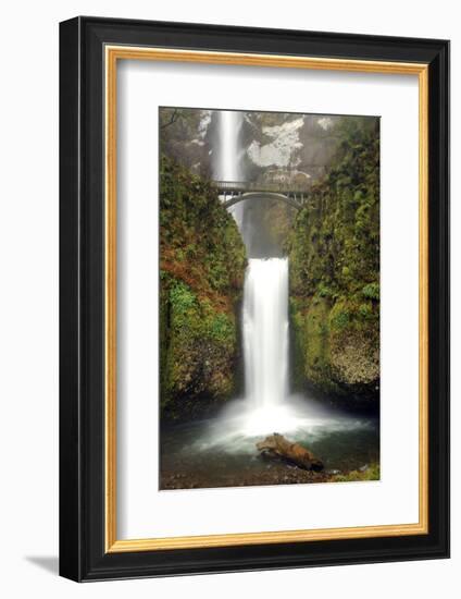 Multnomah Falls and Creek, Multnomah Falls Sp, Columbia Gorge, Oregon-Michel Hersen-Framed Photographic Print