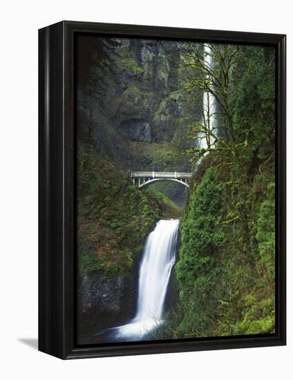 Multnomah Falls, Columbia Gorge National Scenic Area, Oregon, USA-Charles Gurche-Framed Premier Image Canvas