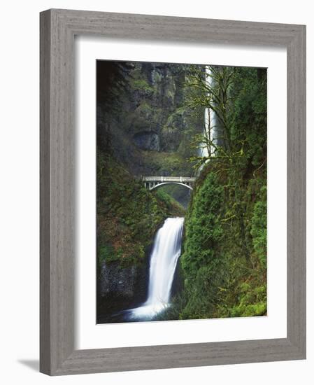 Multnomah Falls, Columbia Gorge National Scenic Area, Oregon, USA-Charles Gurche-Framed Photographic Print