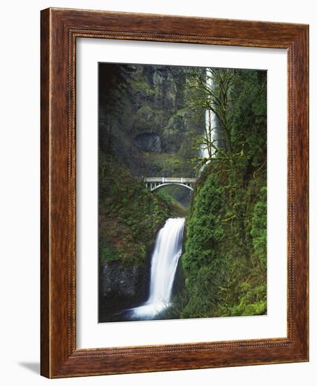 Multnomah Falls, Columbia Gorge National Scenic Area, Oregon, USA-Charles Gurche-Framed Photographic Print