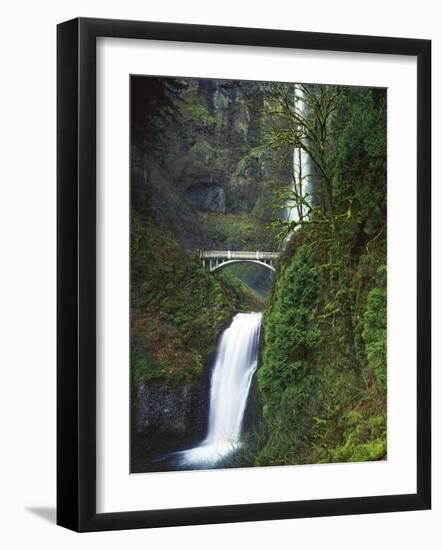 Multnomah Falls, Columbia Gorge National Scenic Area, Oregon, USA-Charles Gurche-Framed Photographic Print