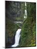 Multnomah Falls, Columbia Gorge National Scenic Area, Oregon, USA-Charles Gurche-Mounted Photographic Print