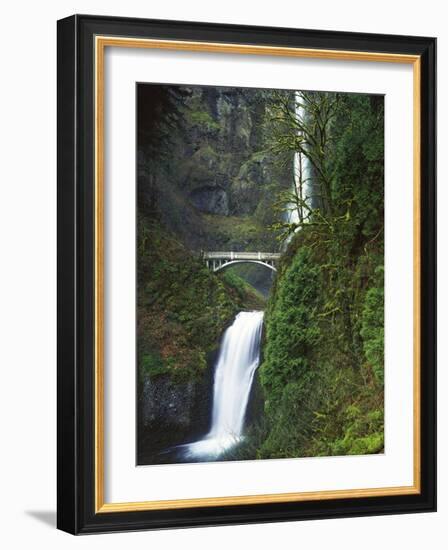 Multnomah Falls, Columbia Gorge National Scenic Area, Oregon, USA-Charles Gurche-Framed Photographic Print