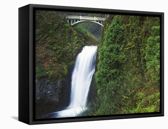 Multnomah Falls, Columbia Gorge National Scenic Area, Oregon, USA-Charles Gurche-Framed Premier Image Canvas