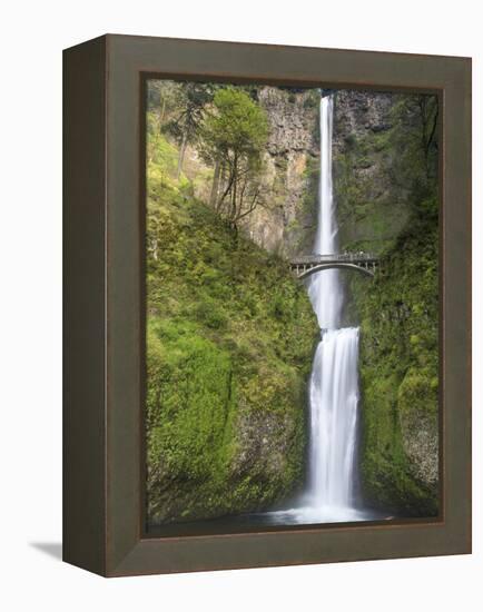 Multnomah Falls, Columbia Gorge National Scenic Area, Oregon, USA-Chuck Haney-Framed Premier Image Canvas