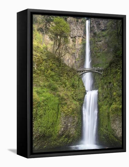 Multnomah Falls, Columbia Gorge National Scenic Area, Oregon, USA-Chuck Haney-Framed Premier Image Canvas