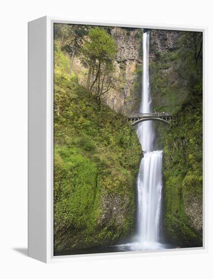 Multnomah Falls, Columbia Gorge National Scenic Area, Oregon, USA-Chuck Haney-Framed Premier Image Canvas