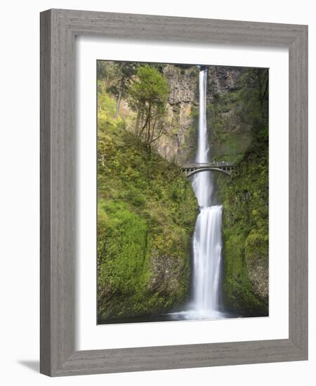 Multnomah Falls, Columbia Gorge National Scenic Area, Oregon, USA-Chuck Haney-Framed Photographic Print