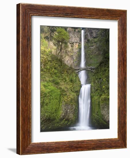 Multnomah Falls, Columbia Gorge National Scenic Area, Oregon, USA-Chuck Haney-Framed Photographic Print