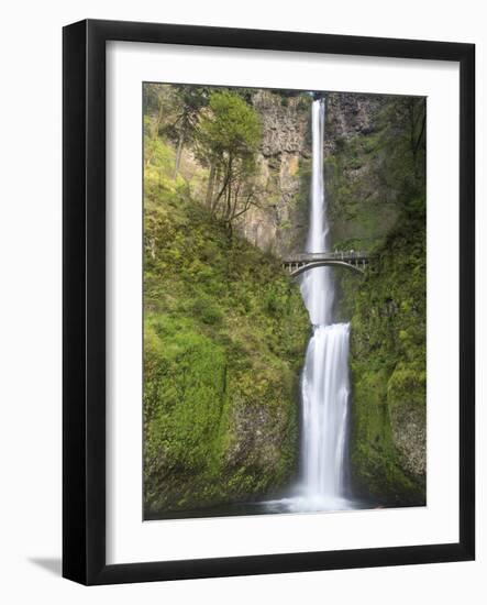 Multnomah Falls, Columbia Gorge National Scenic Area, Oregon, USA-Chuck Haney-Framed Photographic Print