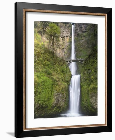 Multnomah Falls, Columbia Gorge National Scenic Area, Oregon, USA-Chuck Haney-Framed Photographic Print