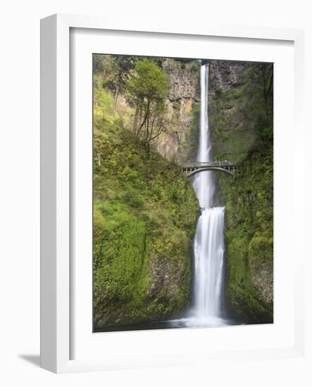 Multnomah Falls, Columbia Gorge National Scenic Area, Oregon, USA-Chuck Haney-Framed Photographic Print