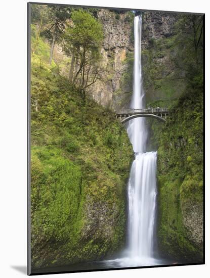 Multnomah Falls, Columbia Gorge National Scenic Area, Oregon, USA-Chuck Haney-Mounted Photographic Print