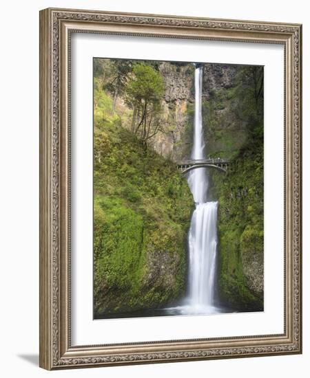 Multnomah Falls, Columbia Gorge National Scenic Area, Oregon, USA-Chuck Haney-Framed Photographic Print