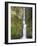 Multnomah Falls, Columbia Gorge National Scenic Area, Oregon, USA-Chuck Haney-Framed Photographic Print