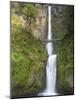 Multnomah Falls, Columbia Gorge National Scenic Area, Oregon, USA-Chuck Haney-Mounted Photographic Print