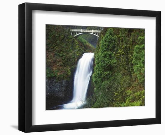 Multnomah Falls, Columbia Gorge National Scenic Area, Oregon, USA-Charles Gurche-Framed Photographic Print