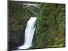 Multnomah Falls, Columbia Gorge National Scenic Area, Oregon, USA-Charles Gurche-Mounted Photographic Print