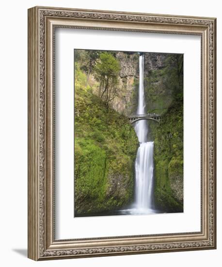 Multnomah Falls, Columbia Gorge National Scenic Area, Oregon, USA-Chuck Haney-Framed Photographic Print