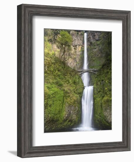 Multnomah Falls, Columbia Gorge National Scenic Area, Oregon, USA-Chuck Haney-Framed Photographic Print