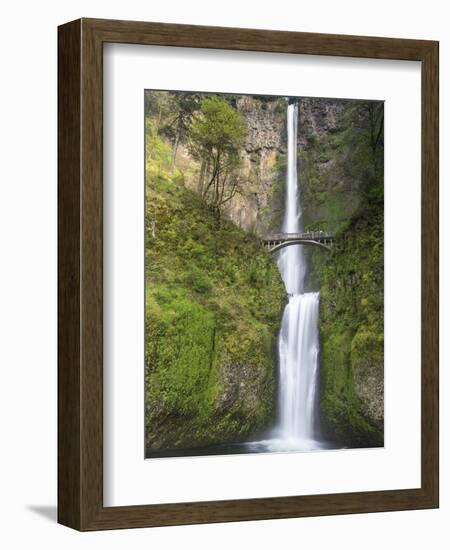 Multnomah Falls, Columbia Gorge National Scenic Area, Oregon, USA-Chuck Haney-Framed Photographic Print