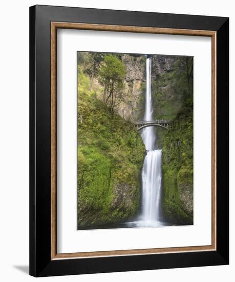 Multnomah Falls, Columbia Gorge National Scenic Area, Oregon, USA-Chuck Haney-Framed Photographic Print