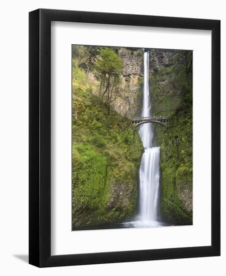 Multnomah Falls, Columbia Gorge National Scenic Area, Oregon, USA-Chuck Haney-Framed Photographic Print