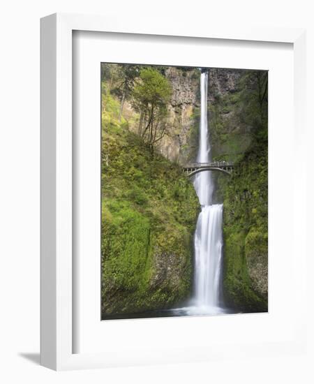 Multnomah Falls, Columbia Gorge National Scenic Area, Oregon, USA-Chuck Haney-Framed Photographic Print