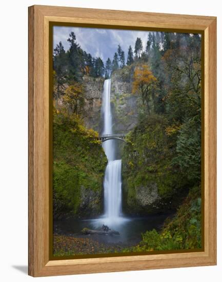 Multnomah Falls, Columbia Gorge, Oregon, USA-Gary Luhm-Framed Premier Image Canvas