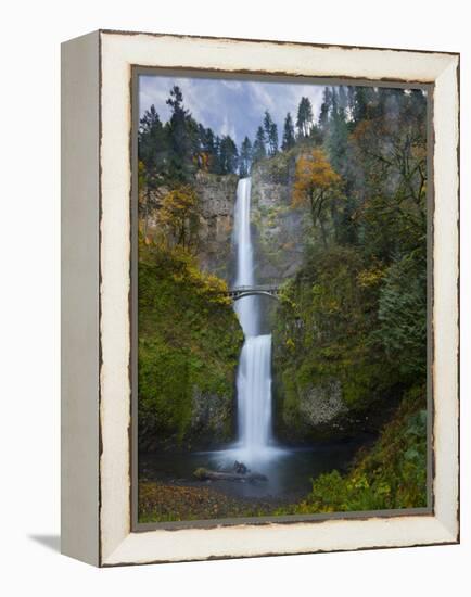 Multnomah Falls, Columbia Gorge, Oregon, USA-Gary Luhm-Framed Premier Image Canvas