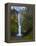 Multnomah Falls, Columbia Gorge, Oregon, USA-Gary Luhm-Framed Premier Image Canvas