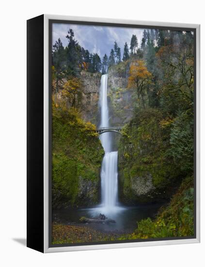 Multnomah Falls, Columbia Gorge, Oregon, USA-Gary Luhm-Framed Premier Image Canvas