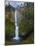 Multnomah Falls, Columbia Gorge, Oregon, USA-Gary Luhm-Mounted Photographic Print