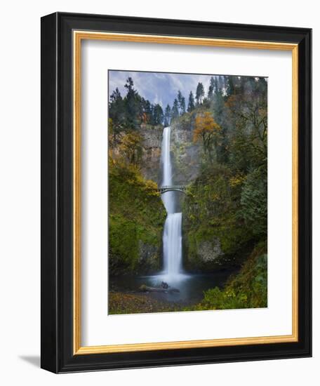 Multnomah Falls, Columbia Gorge, Oregon, USA-Gary Luhm-Framed Photographic Print