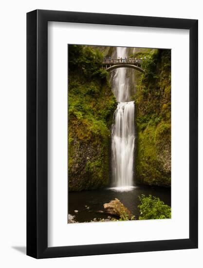 Multnomah Falls, Columbia River Gorge, Oregon, USA-Jaynes Gallery-Framed Photographic Print