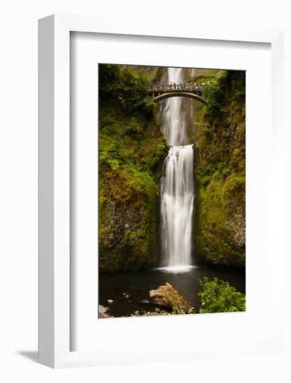 Multnomah Falls, Columbia River Gorge, Oregon, USA-Jaynes Gallery-Framed Photographic Print