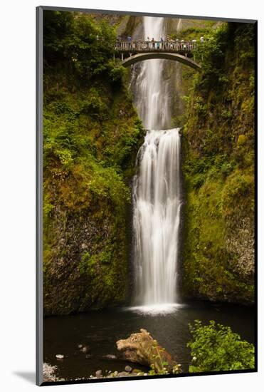 Multnomah Falls, Columbia River Gorge, Oregon, USA-Jaynes Gallery-Mounted Photographic Print