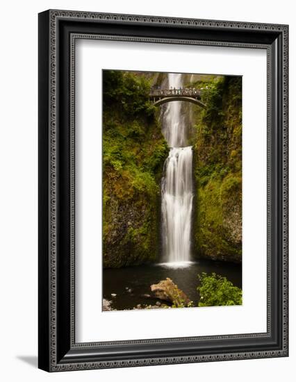 Multnomah Falls, Columbia River Gorge, Oregon, USA-Jaynes Gallery-Framed Photographic Print