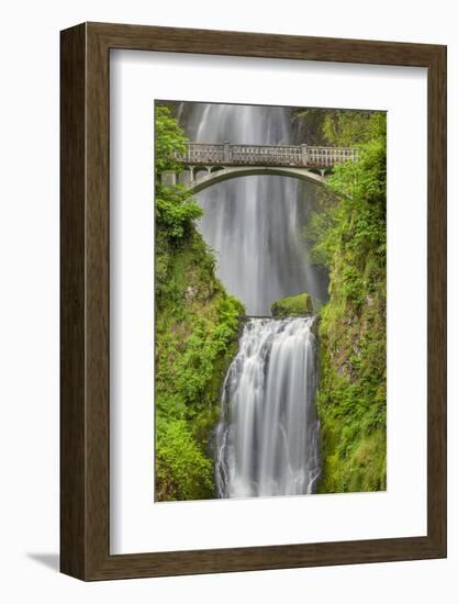 Multnomah Falls, Columbia River Gorge, Oregon-Adam Jones-Framed Photographic Print