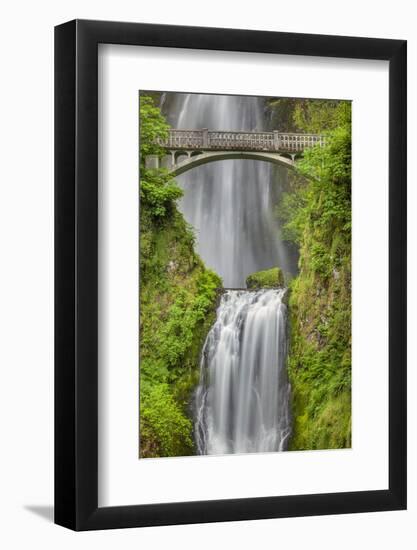 Multnomah Falls, Columbia River Gorge, Oregon-Adam Jones-Framed Photographic Print