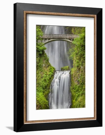 Multnomah Falls, Columbia River Gorge, Oregon-Adam Jones-Framed Photographic Print