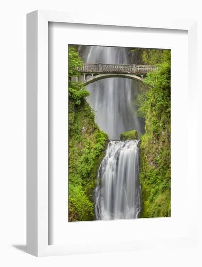 Multnomah Falls, Columbia River Gorge, Oregon-Adam Jones-Framed Photographic Print