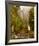 Multnomah Falls Creek Side-Ike Leahy-Framed Photo