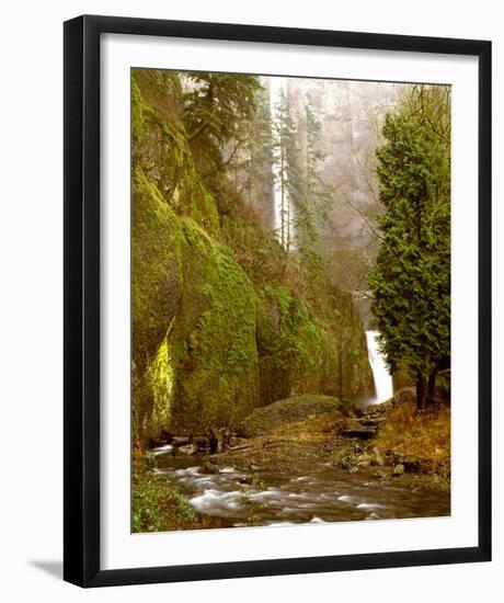 Multnomah Falls Creek Side-Ike Leahy-Framed Photo