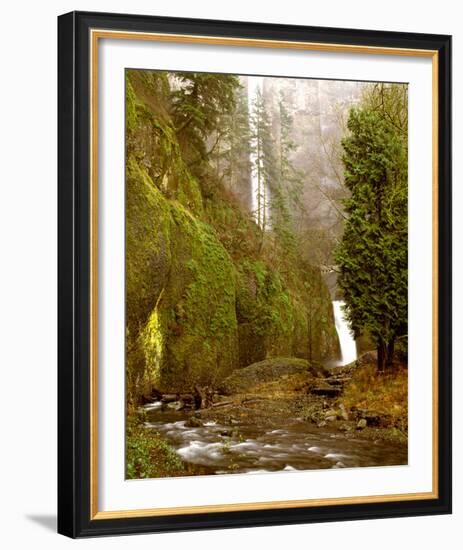 Multnomah Falls Creek Side-Ike Leahy-Framed Photo