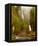 Multnomah Falls Creek Side-Ike Leahy-Framed Stretched Canvas