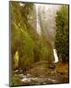 Multnomah Falls Creek Side-Ike Leahy-Mounted Photo