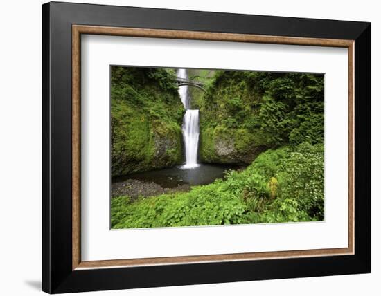 Multnomah Falls, in Columbia River Gorge National Scenic Area, Oregon-Craig Tuttle-Framed Photographic Print