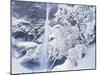 Multnomah Falls in Snow Covered Forest, Columbia Gorge National Scenics Area, Oregon, USA-Stuart Westmoreland-Mounted Photographic Print